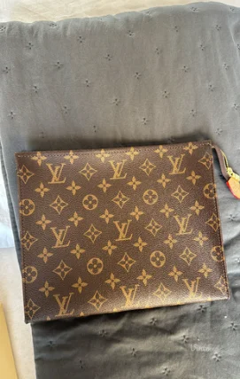 kožna Louis Vuitton pismo torba/neseser