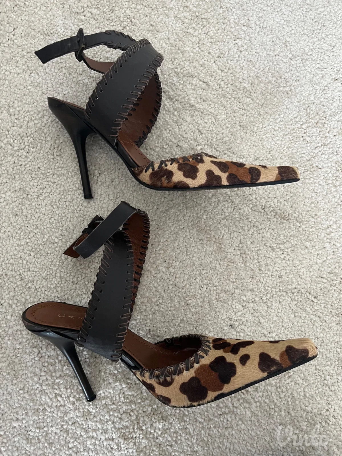 Cipele stikle Casadei - Animal, Trend sezone, kozne