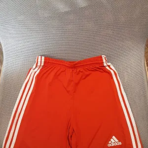 Adidas xs šorc