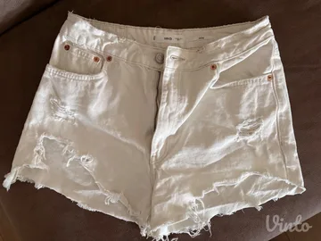 Mango teksas beli sorts