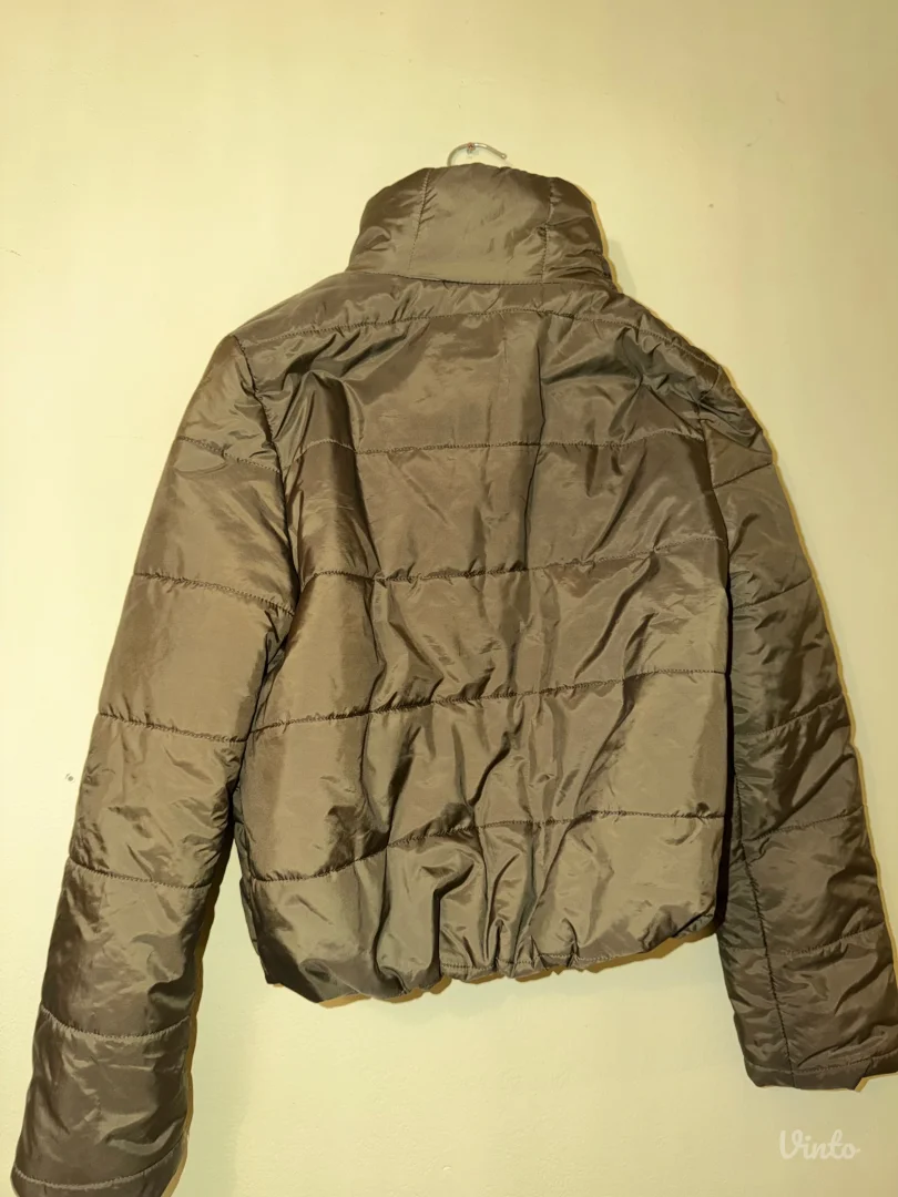 Maslinasta kraća jaknica