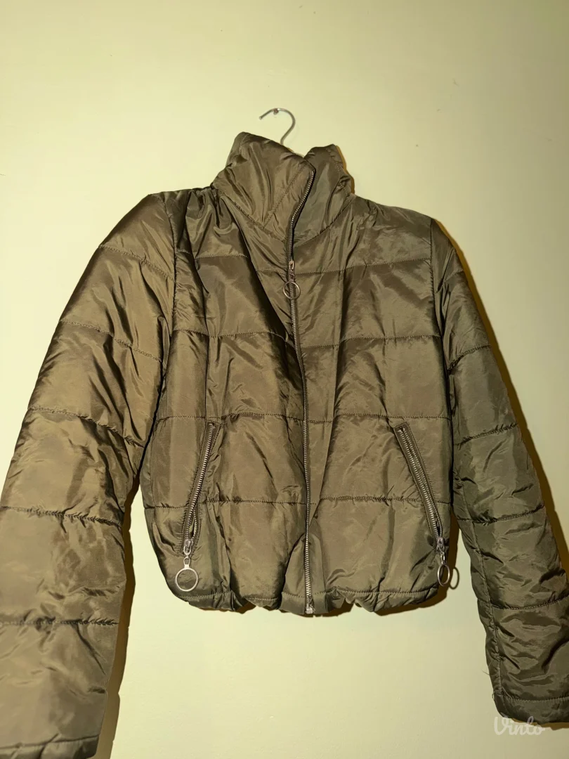 Maslinasta kraća jaknica