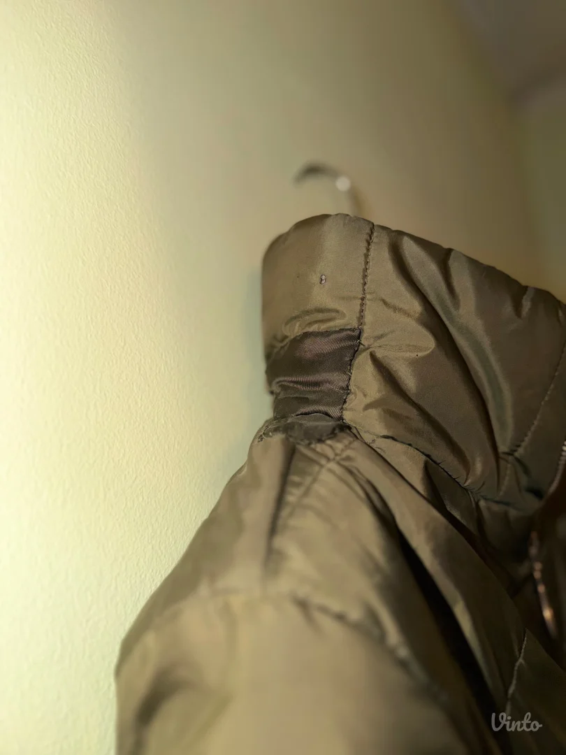 Maslinasta kraća jaknica