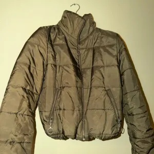 Maslinasta kraća jaknica