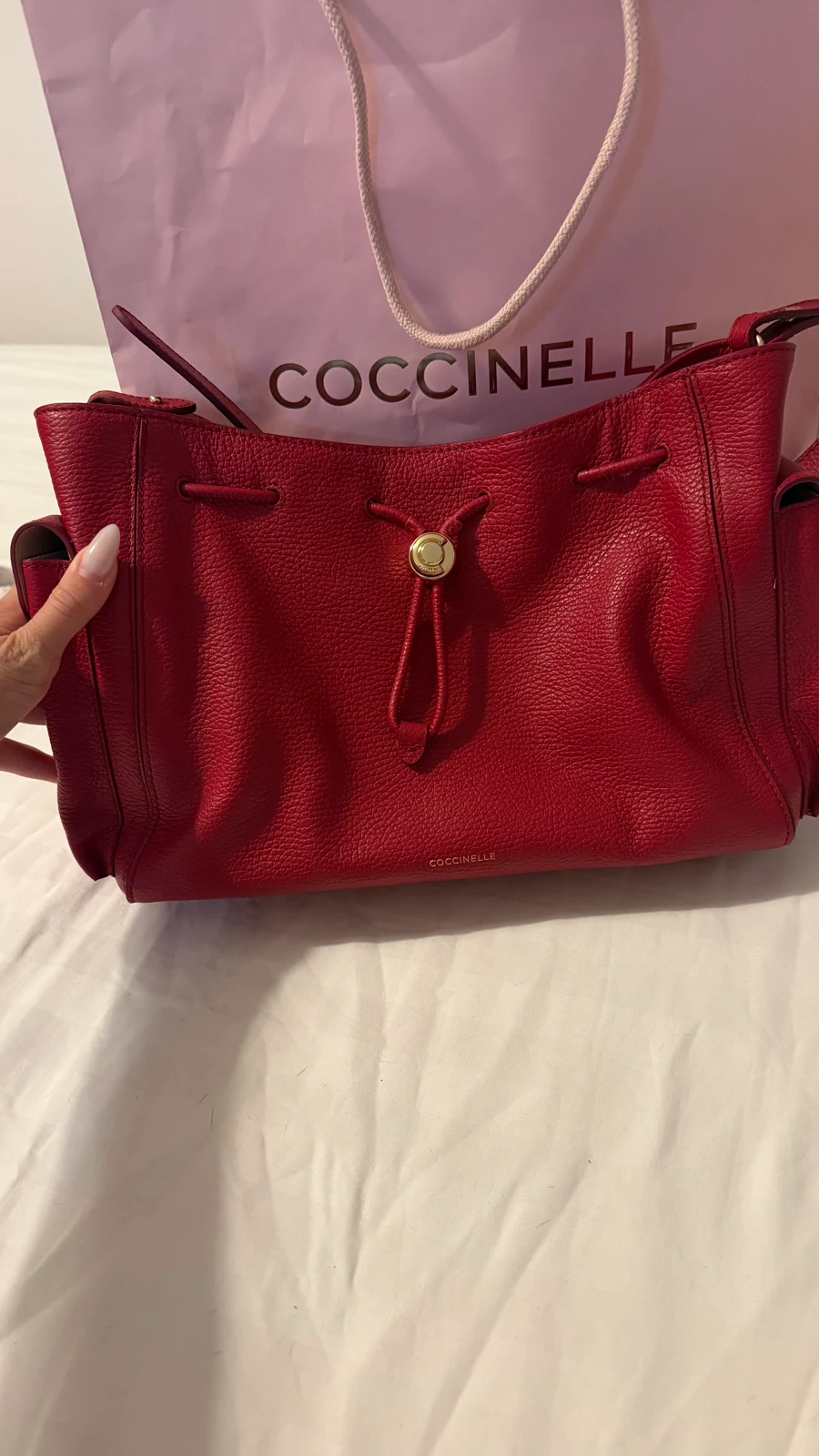 Coccinele torba