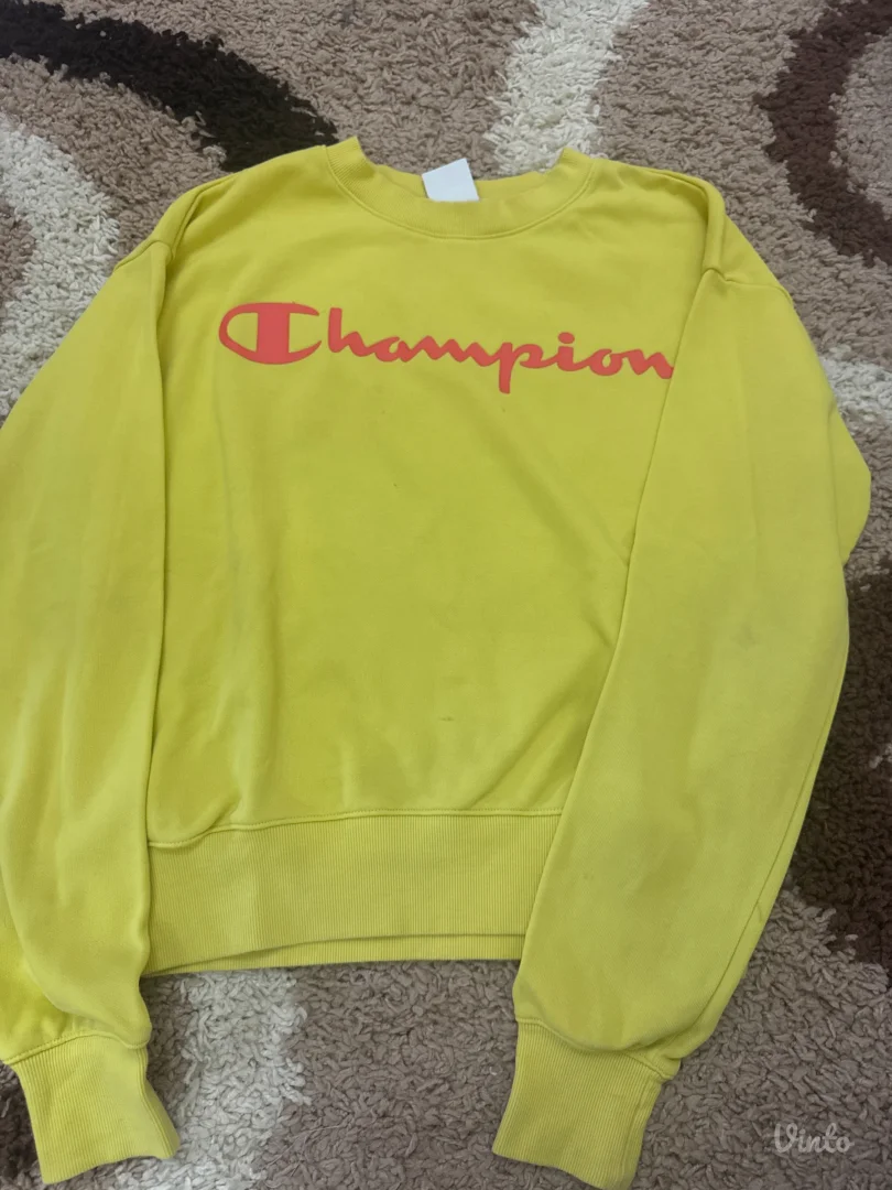 Champion duks