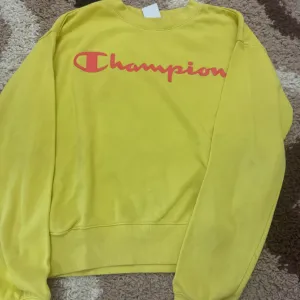 Champion duks
