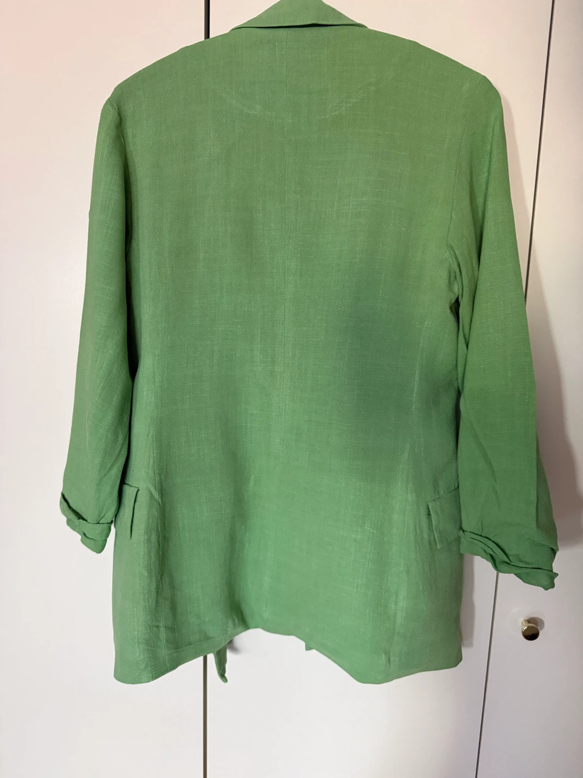 Stradivarius tanji sako, S