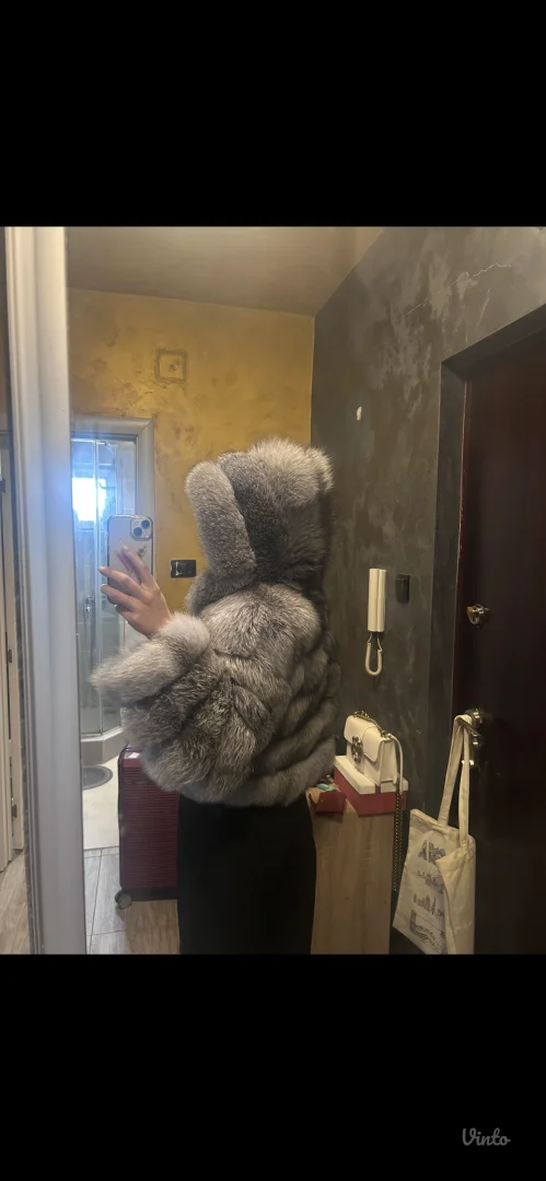 Bunda polarna lisica