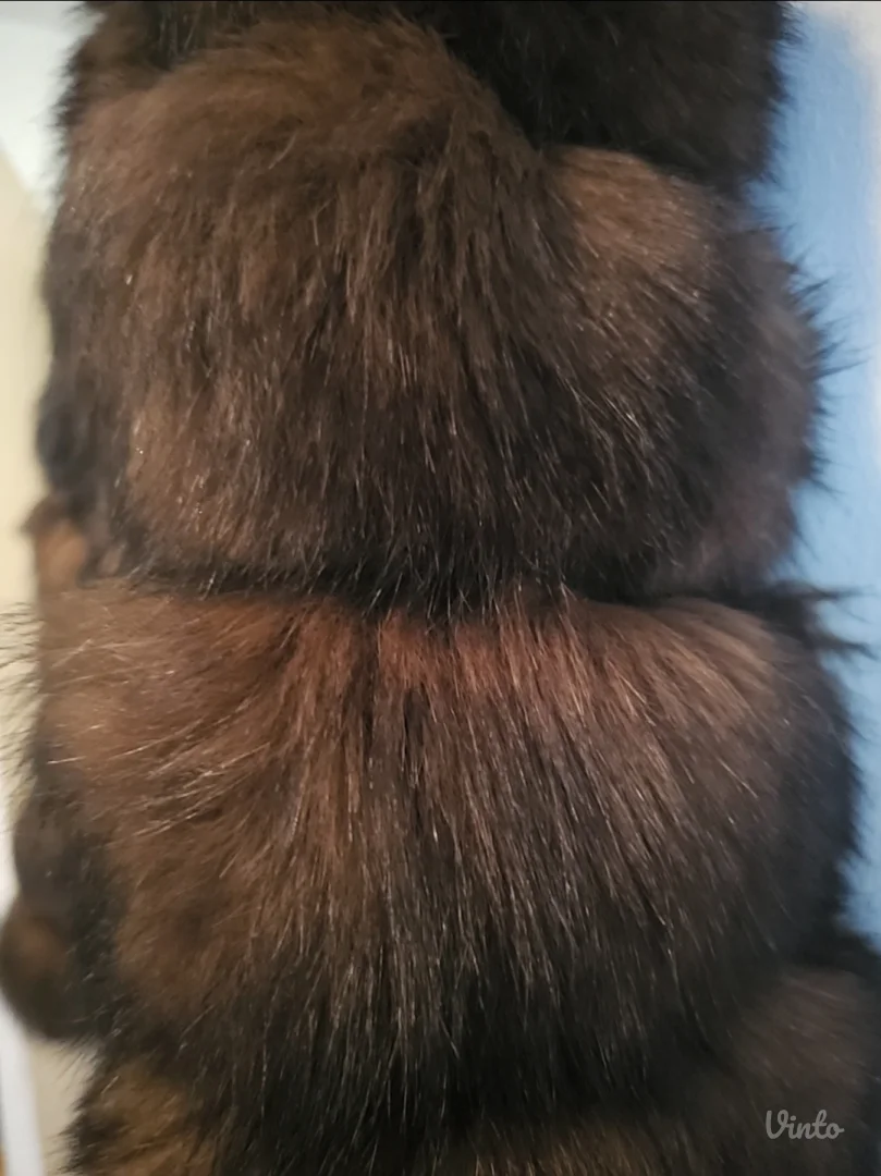 Braon bunda pravo krzno