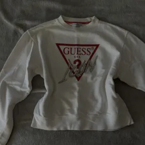 Guess duks