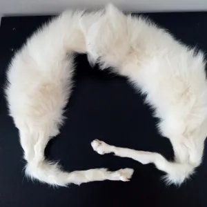 Okovratnik od polarne lisice