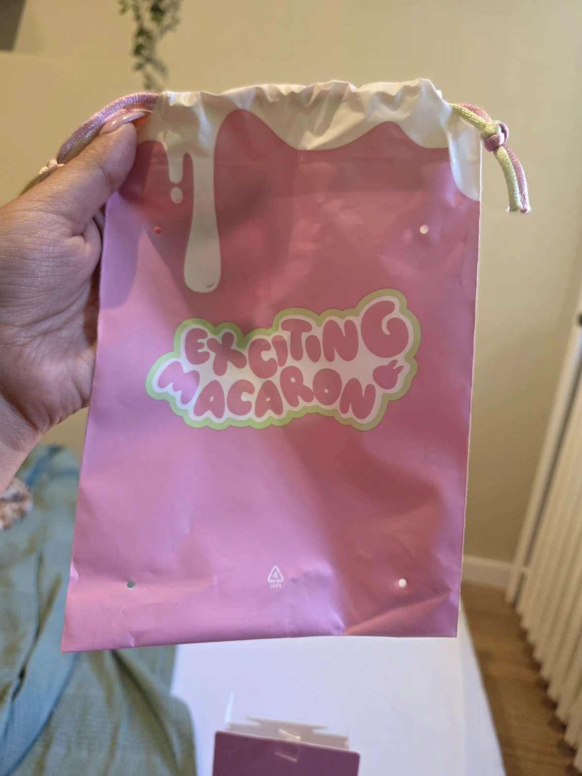 Original Pop Mart - Labubu Exciting Macaroon