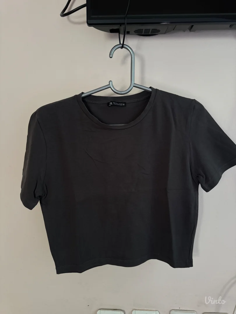 ZARA crop top