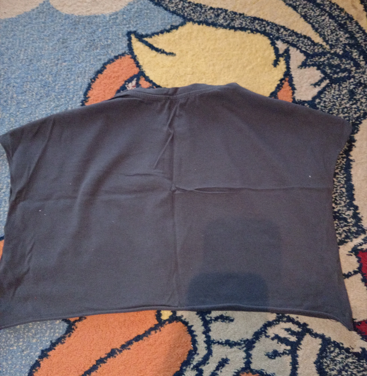 Snow Basic "Wander" tamno siva crop majica / Vel. M