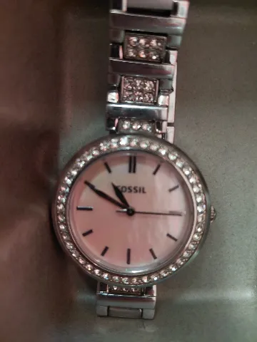 Fossil sat