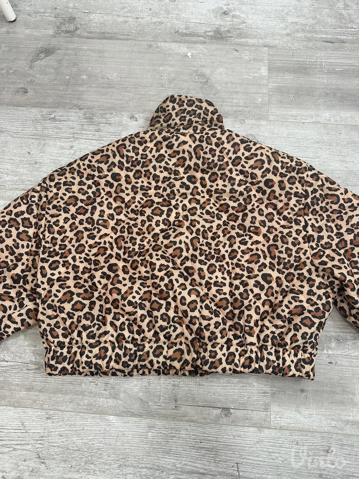 Leopard zara jaknica