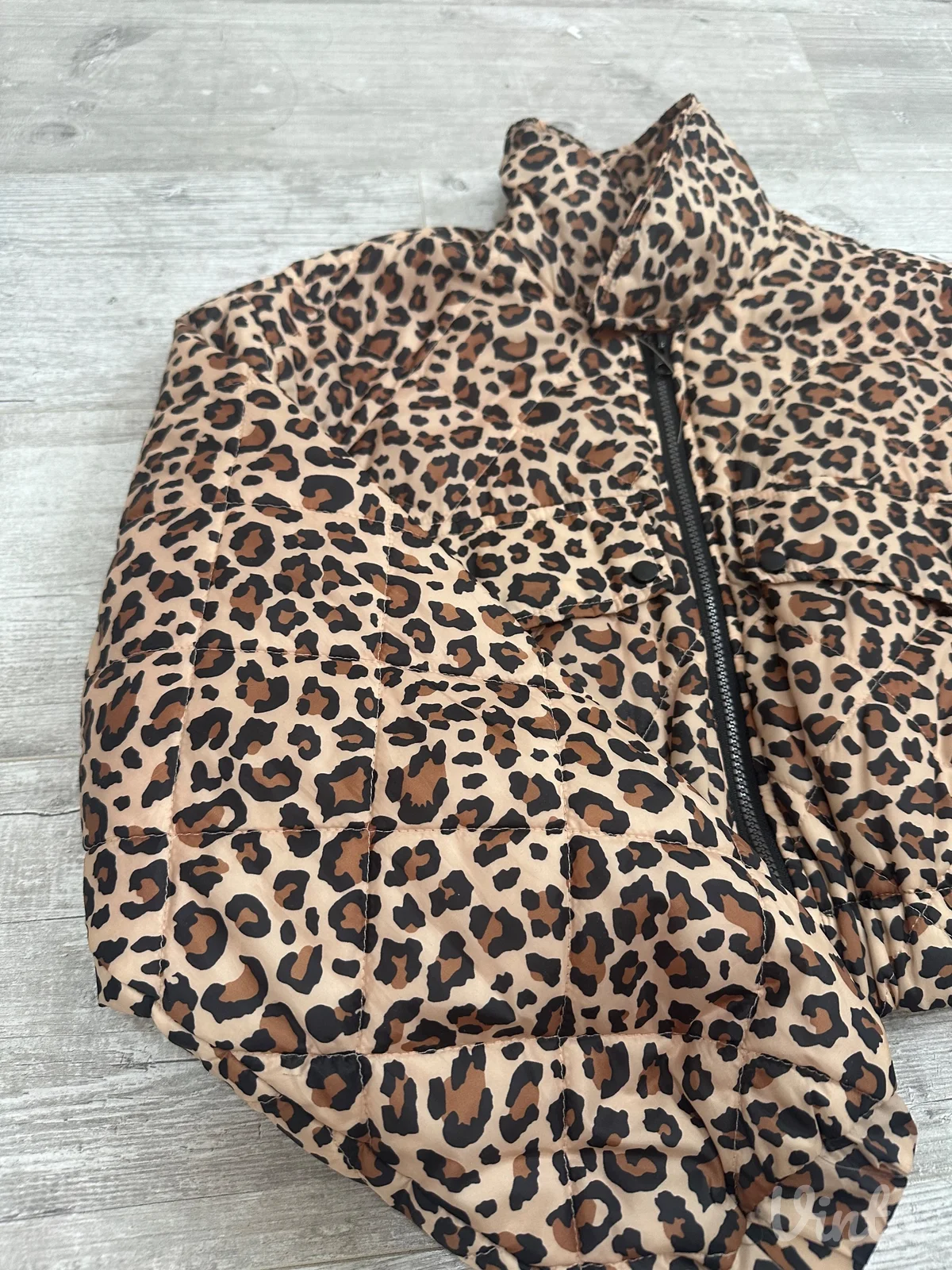 Leopard zara jaknica