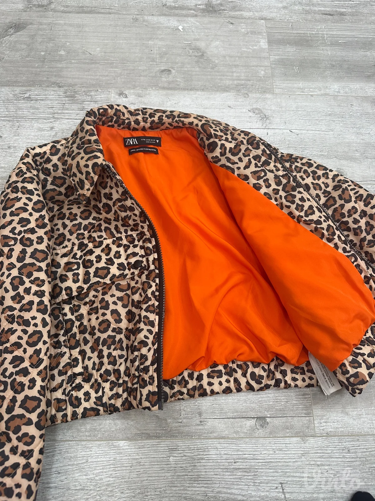 Leopard zara jaknica