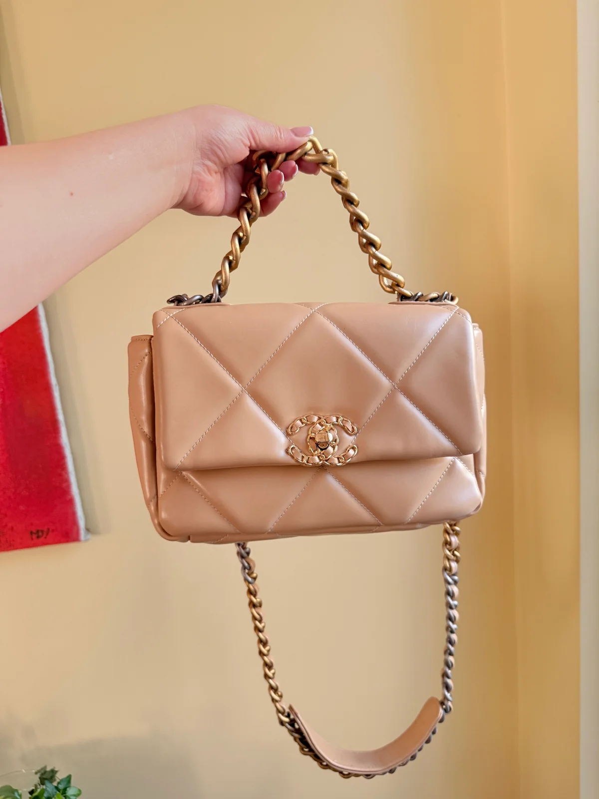 Chanel tasna