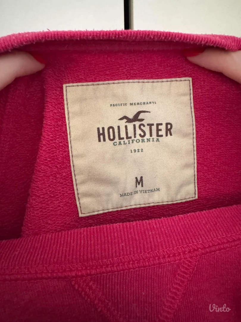 Hollister duks