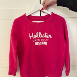 Hollister duks