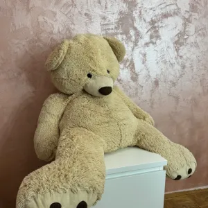 Veliki plišani meda