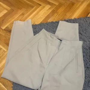 Zara pantalone na crtu