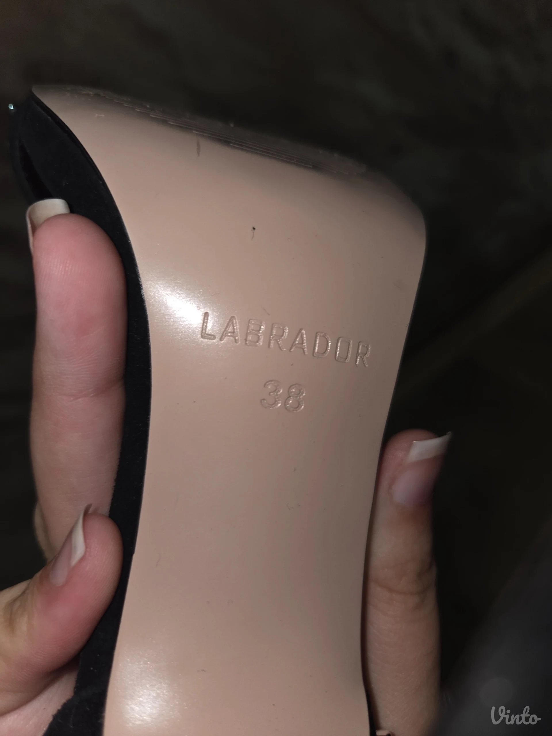 Labrador (Br. 38) – KAO NOVE