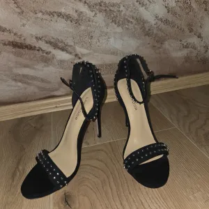 Labrador (Br. 38) – KAO NOVE
