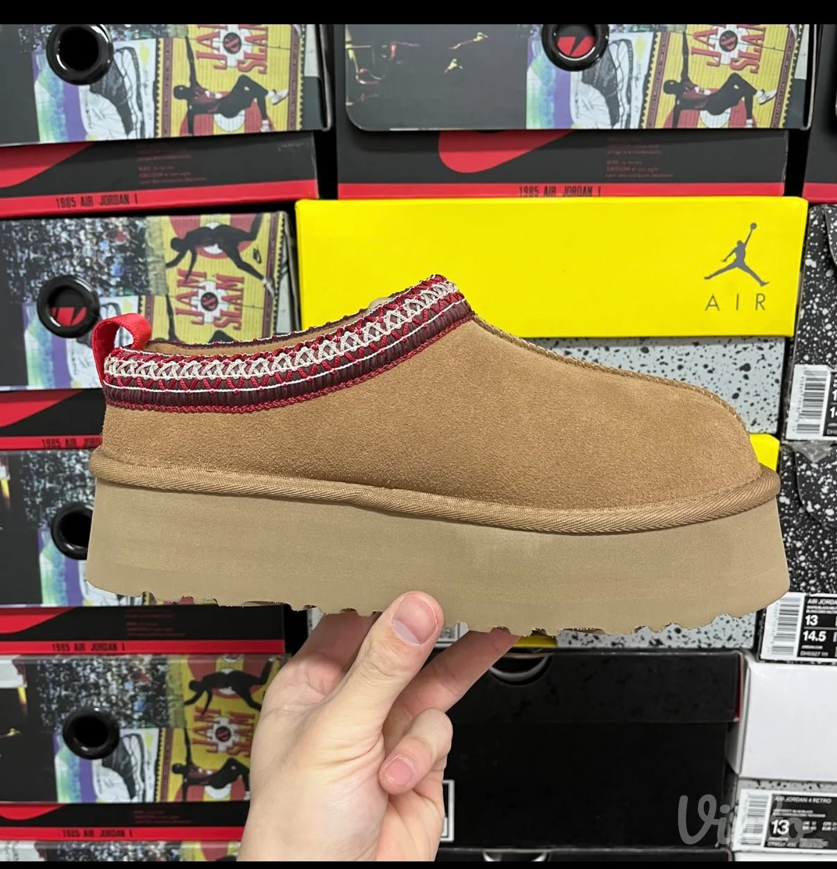 UGG tazz papuce