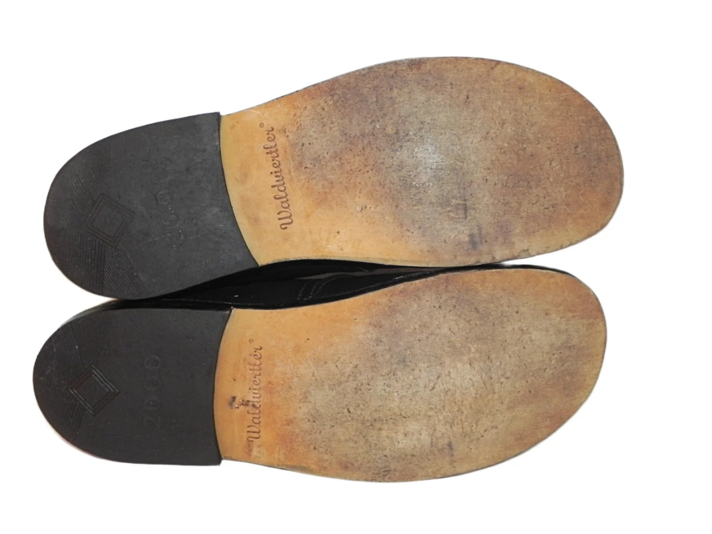 **WALDVIERTLER**kožne cipele G45 - kvalitetne i udobne