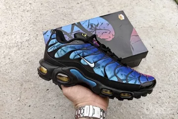 Nike Air Max Plus TN Anniversary
