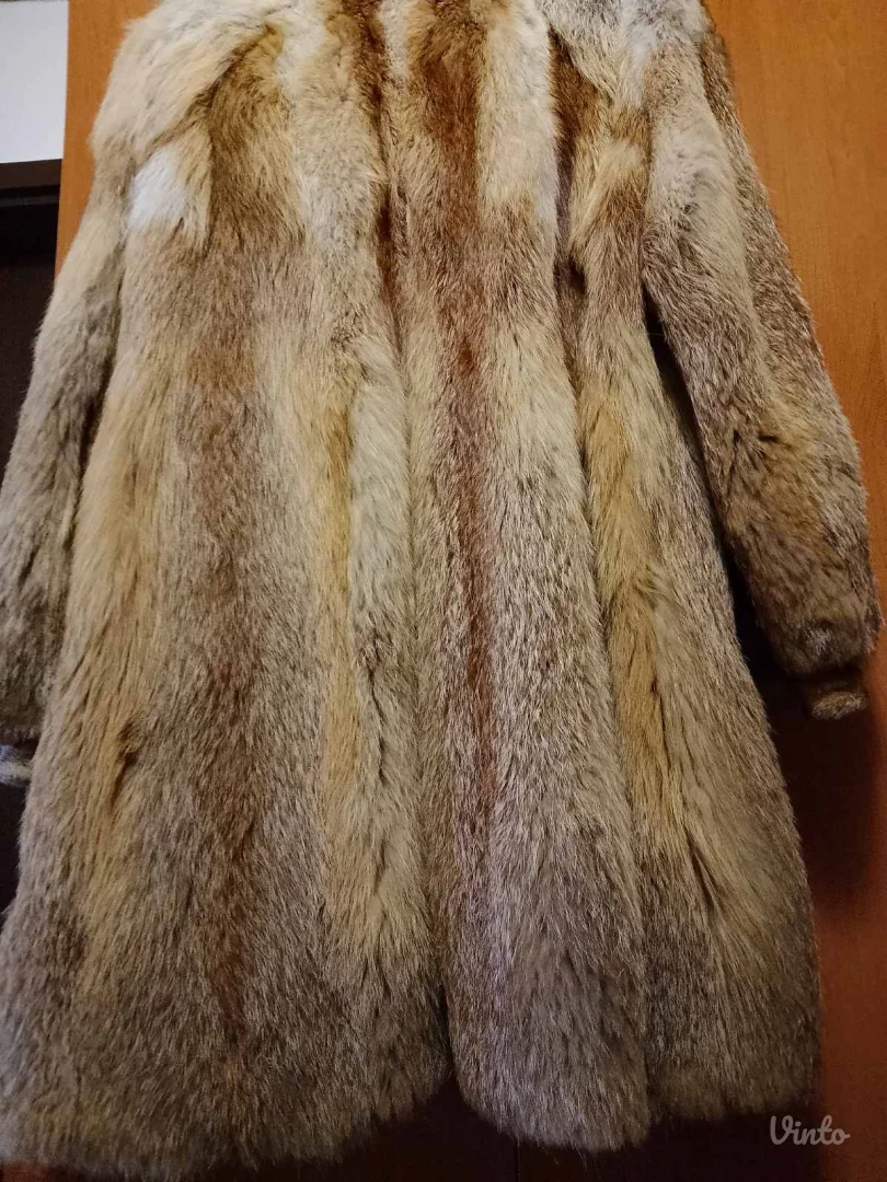 Bunda kanadska lisica