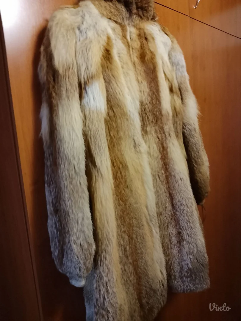 Bunda kanadska lisica