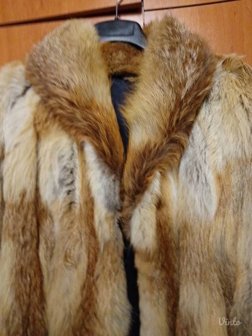 Bunda kanadska lisica