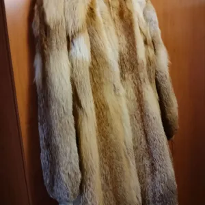 Bunda kanadska lisica