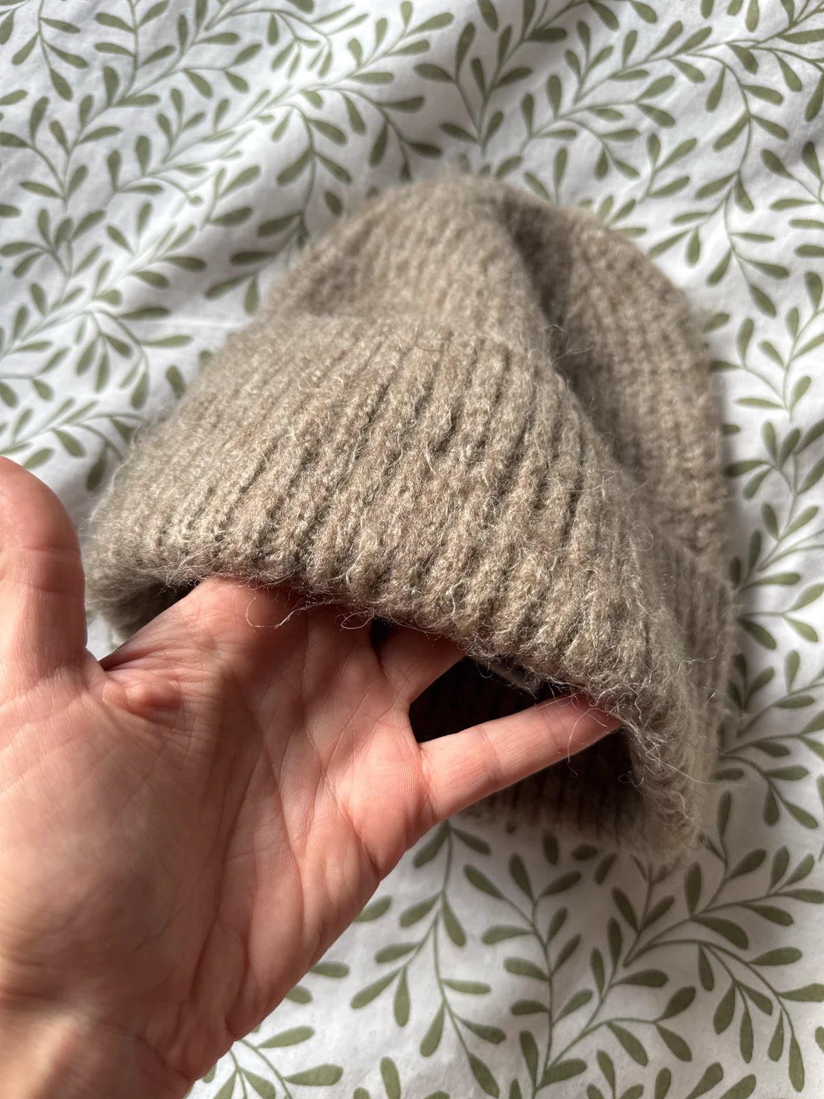 Kapica