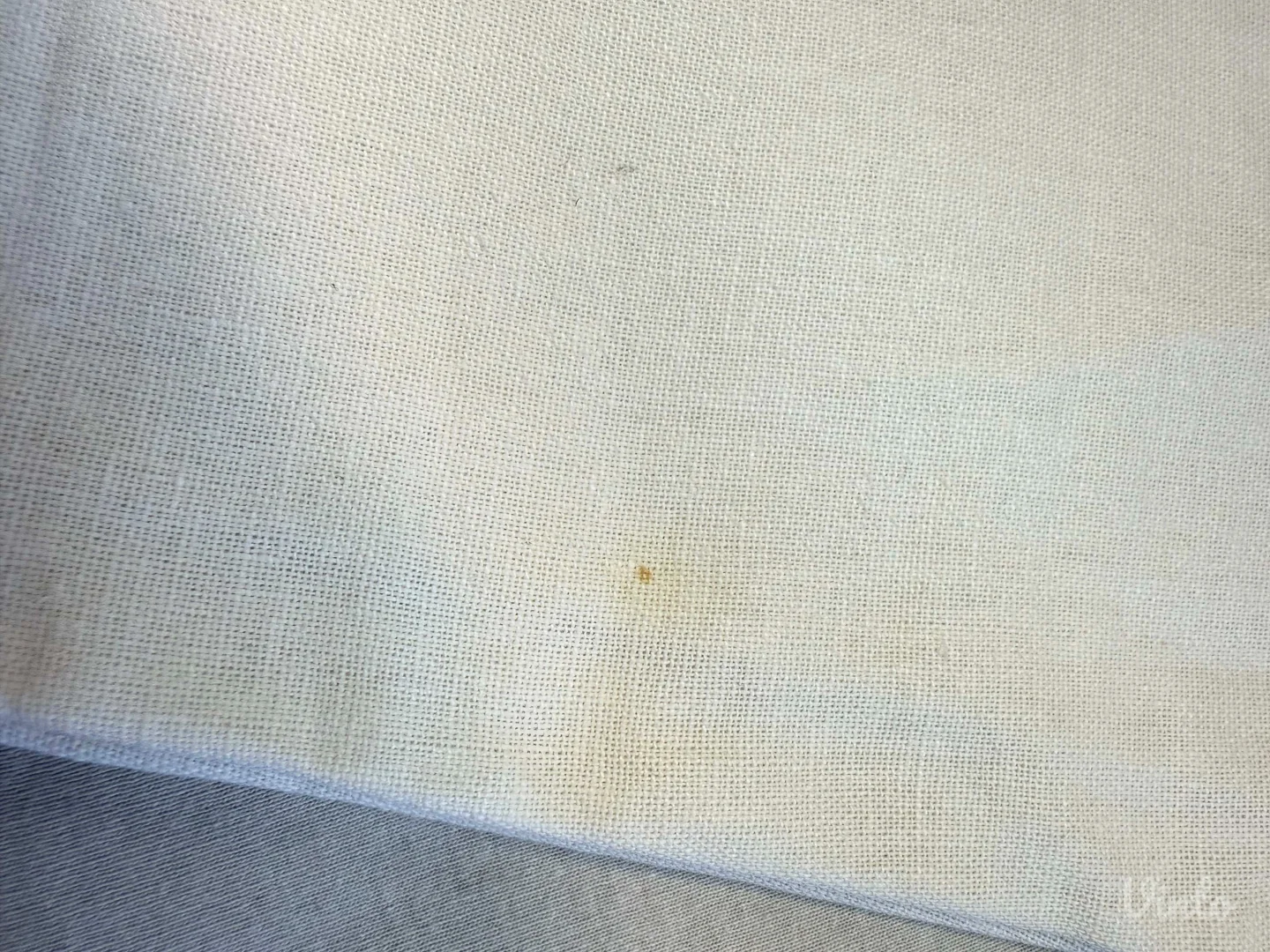 Todor - Bele pantalone