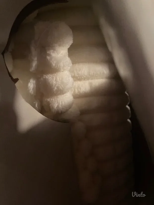 Cebe prekrivac i jastucnice belo novo