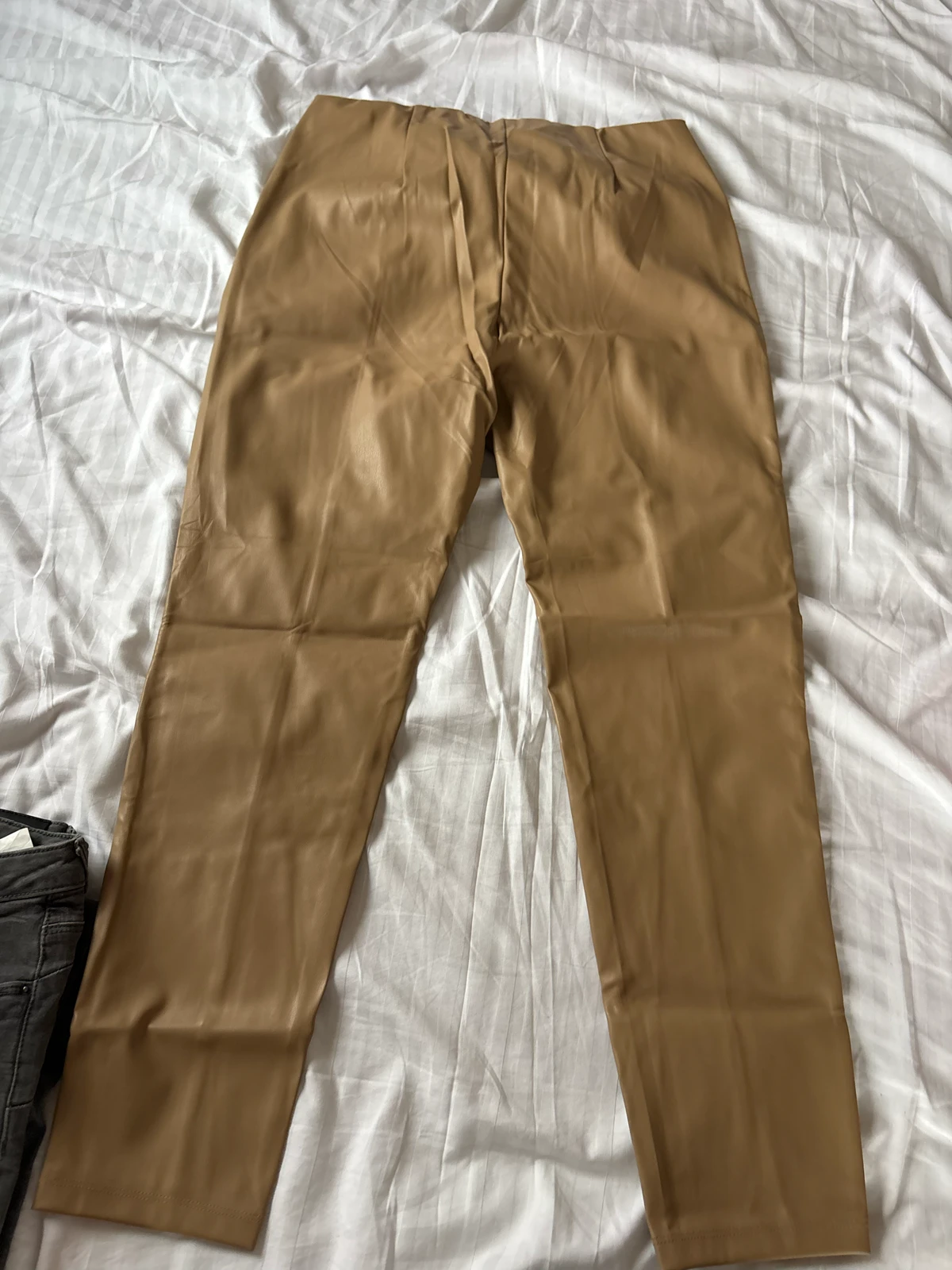 Pantalone od eko koze