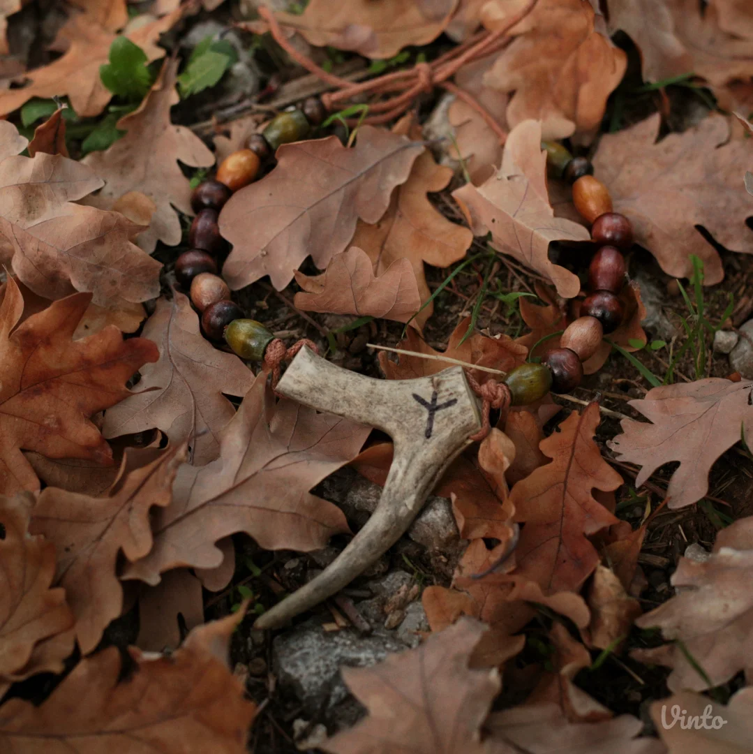 🔱 Ogrlica od roga srndaća sa runom Algiz