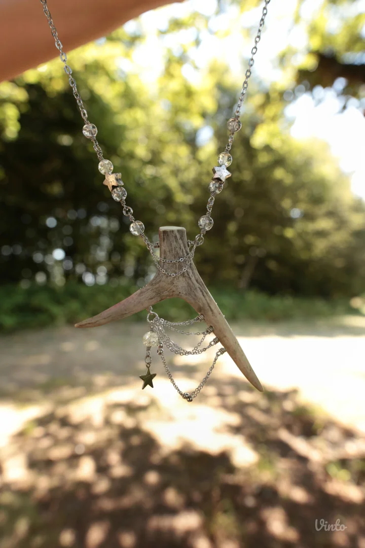 ✨️ Stella ogrlica od roga srndaća