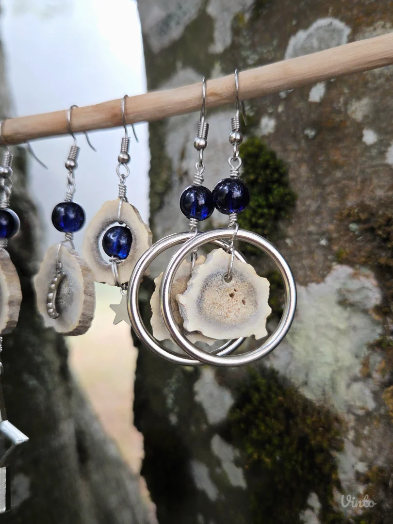 🌌 Andromeda minđuše od rogova srndaća