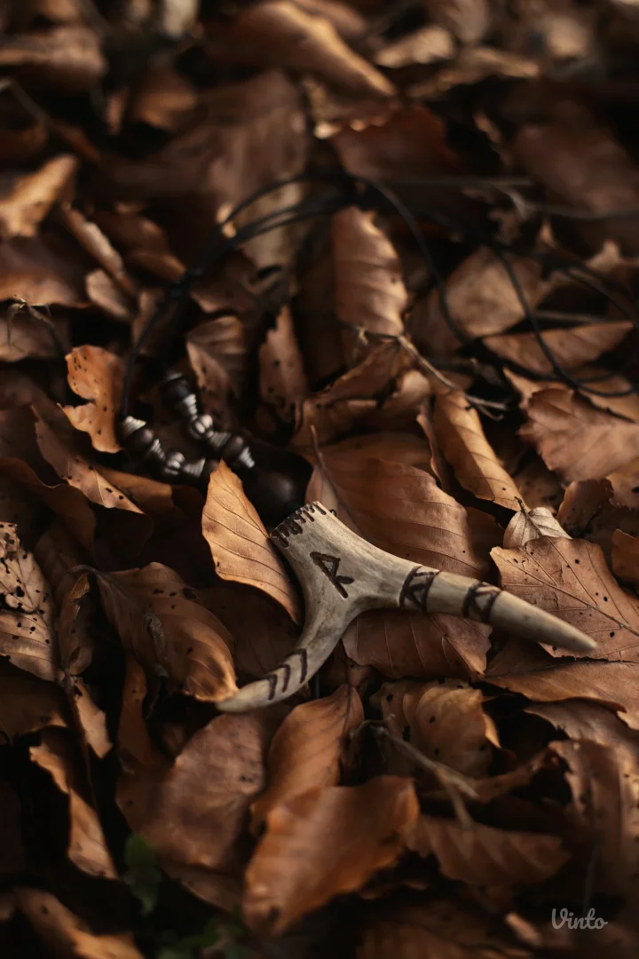 🍂 Ogrlica od roga srndaća sa runom Raidho