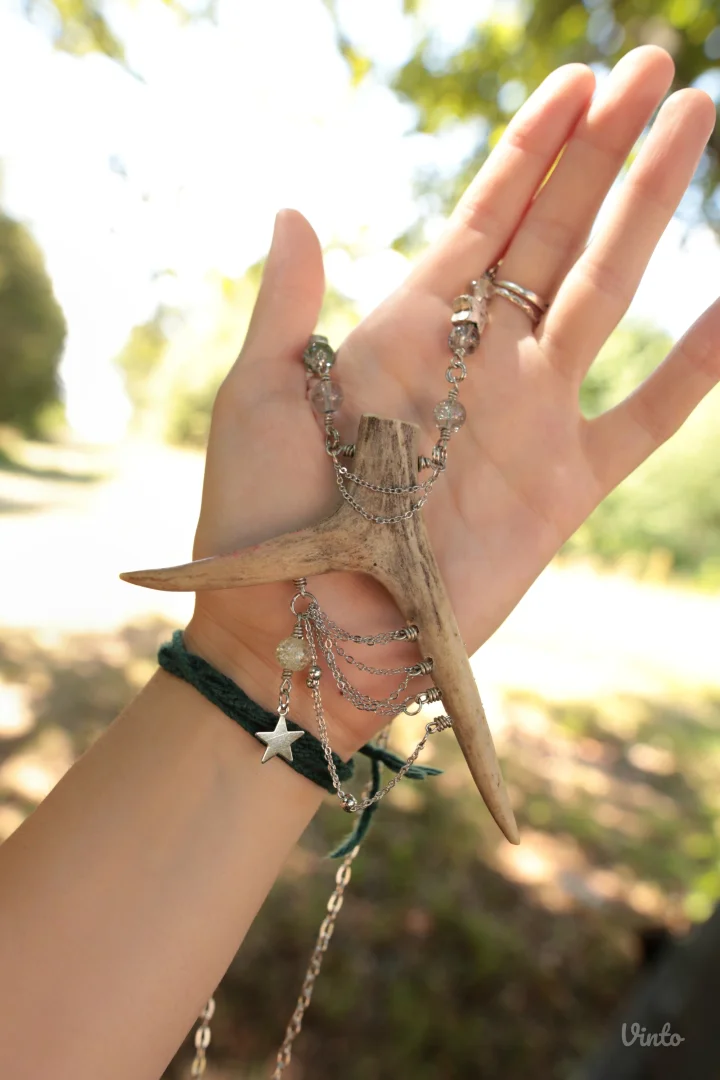 ✨️ Stella ogrlica od roga srndaća