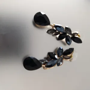 Elegantne crne minđuše