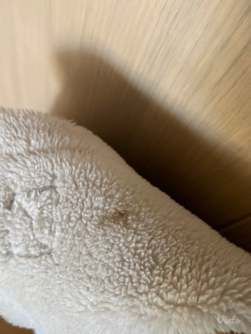 Stradivarius jaknica