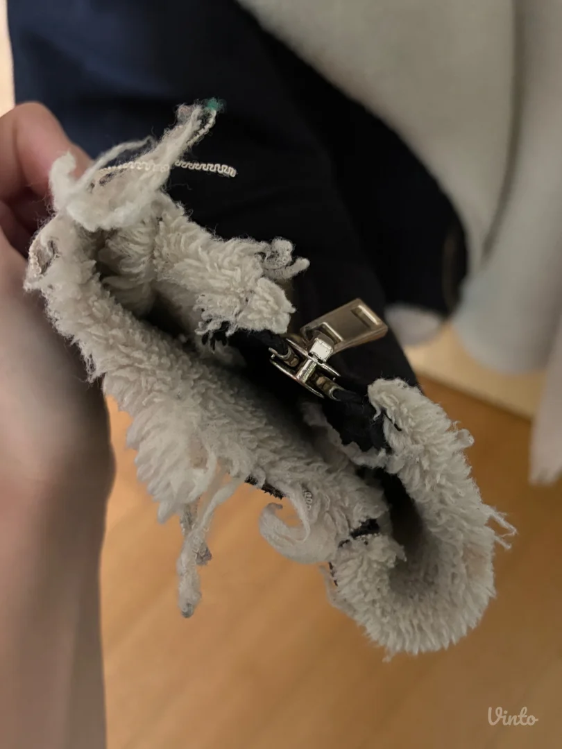 Stradivarius jaknica