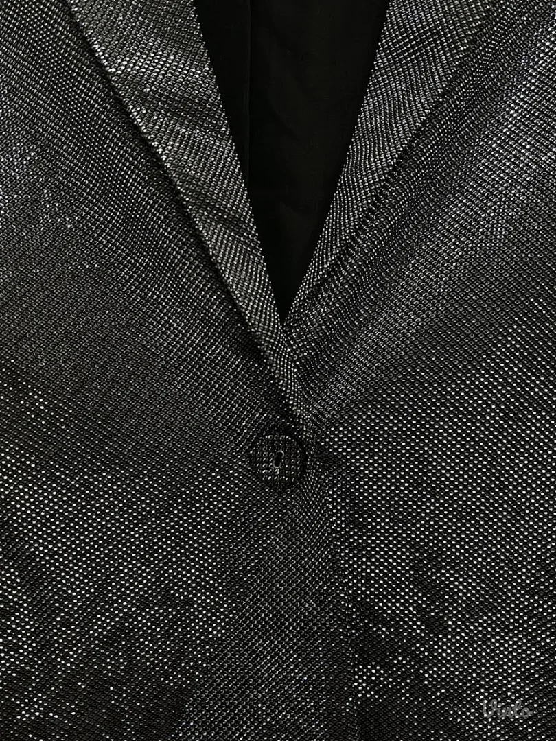 Srebrni blejzer - Vila